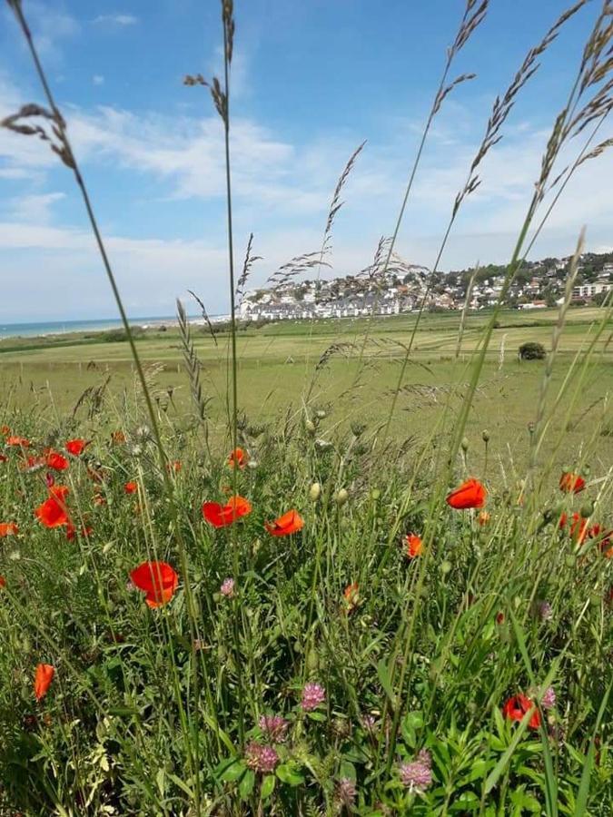 Maison entière la longe'yeres Saint-Martin-le-Gaillard Esterno foto