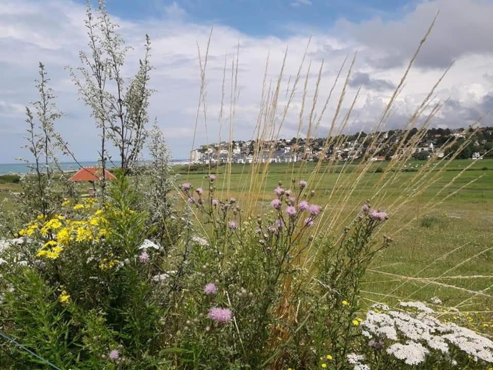 Maison entière la longe'yeres Saint-Martin-le-Gaillard Esterno foto